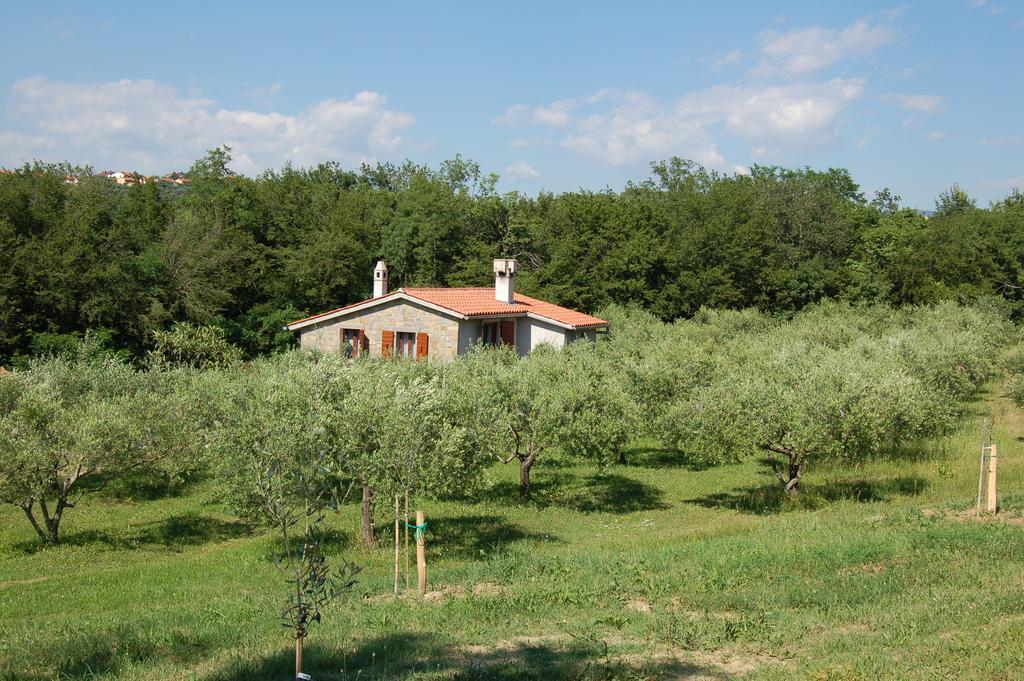 Olivahouse Βίλα Marezige Εξωτερικό φωτογραφία
